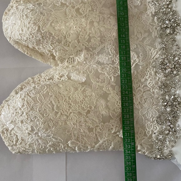 Eddy K wedding dress plus veil - Picture 13 of 13